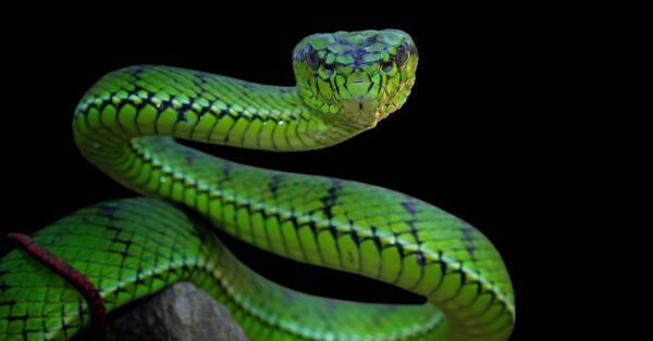 WhatsApp Image 2026-02-08 at 4.37.37 PM