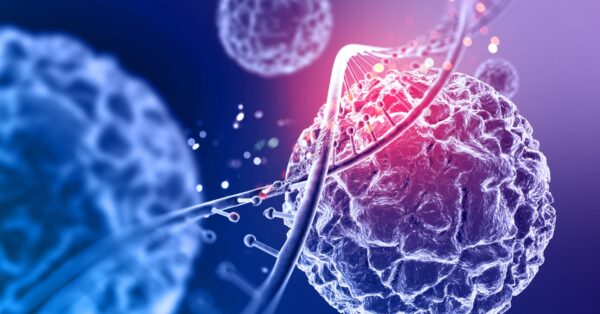 WhatsApp Image 2026-02-22 at 3.53.53 PM (1)