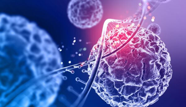 WhatsApp Image 2026-02-22 at 3.53.53 PM (1)