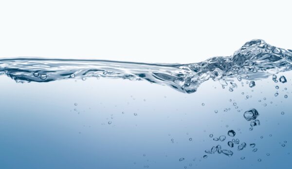 WhatsApp Image 2026-03-22 at 3.30.08 PM