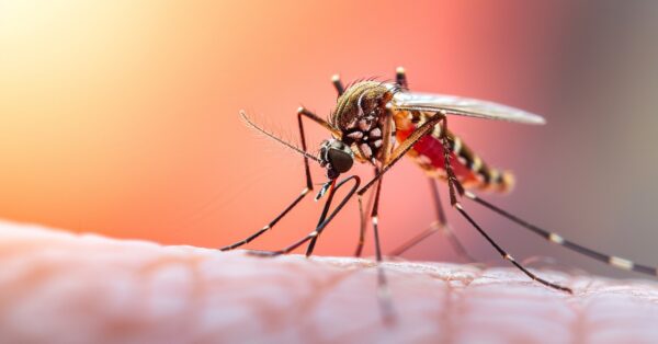 WhatsApp Image 2026-04-25 at 11.04.16 AM