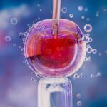 Top Reasons for IVF Failure: Understanding the Factors That May Affect Success