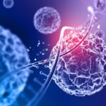 Mitochondrial Disease: Understanding Its Causes, Symptoms and Effects